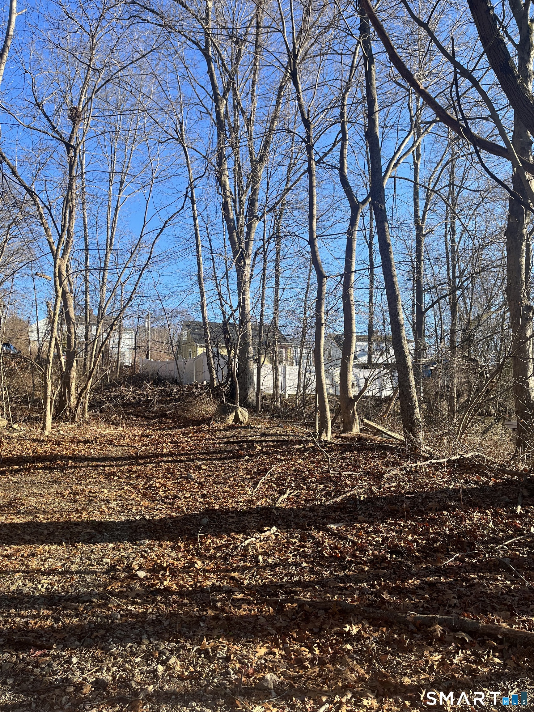 Foote Street Waterbury, CT 06704 - Photo 2 of 20 a backyard of a house with lots of green space