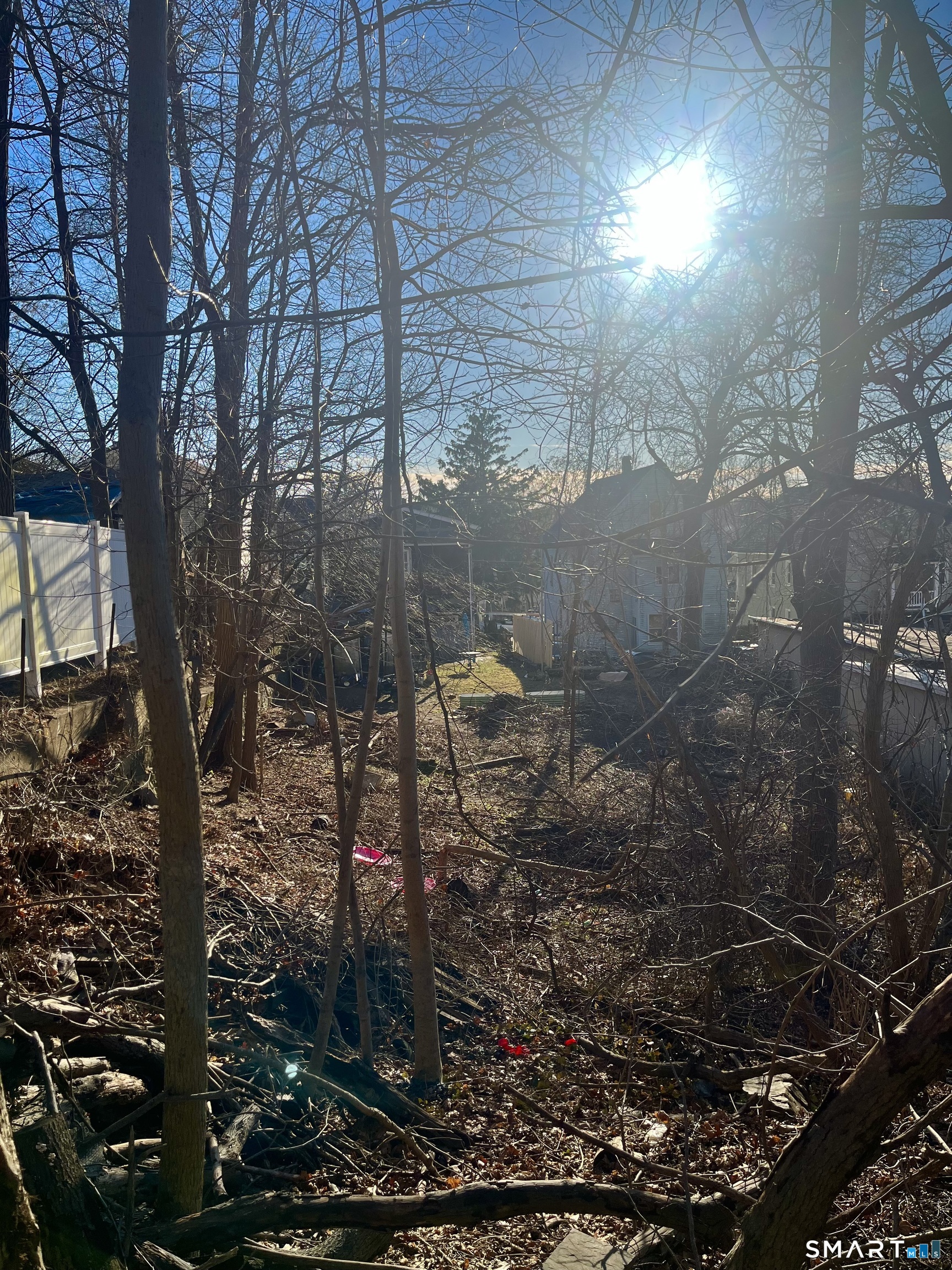 Foote Street Waterbury, CT 06704 - Photo 4 of 20 a view of a forest