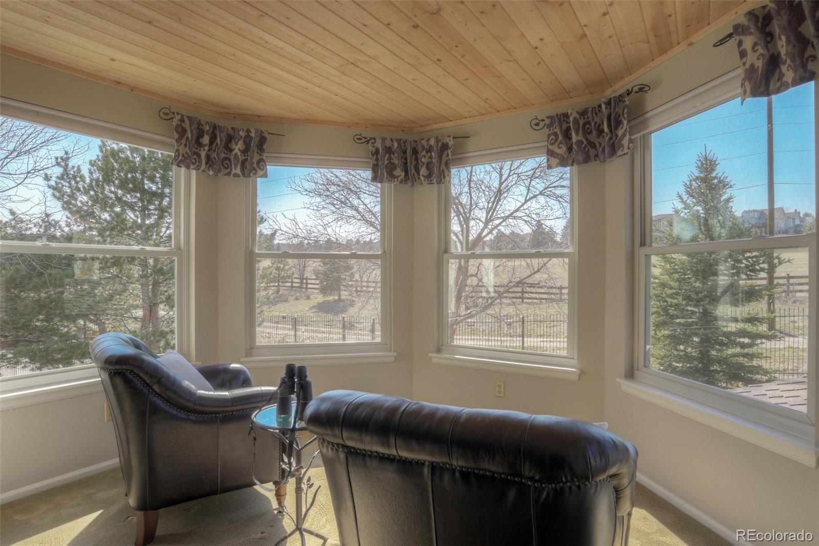 8655 Forrest Way Highlands Ranch, CO 80126 - Photo 16 of 35 Gallery Image 16