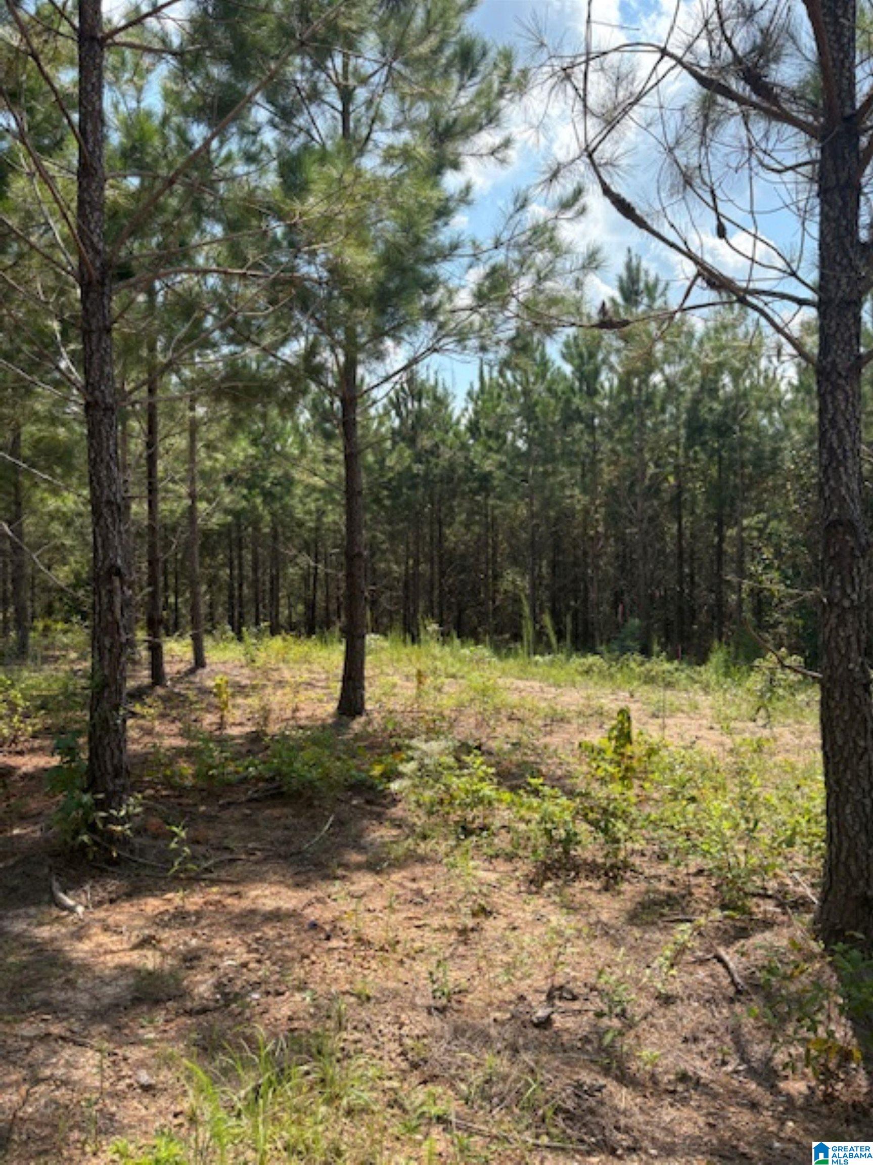 472 County Road, Unit 2 Clanton, AL 35045 - Photo 5 of 10