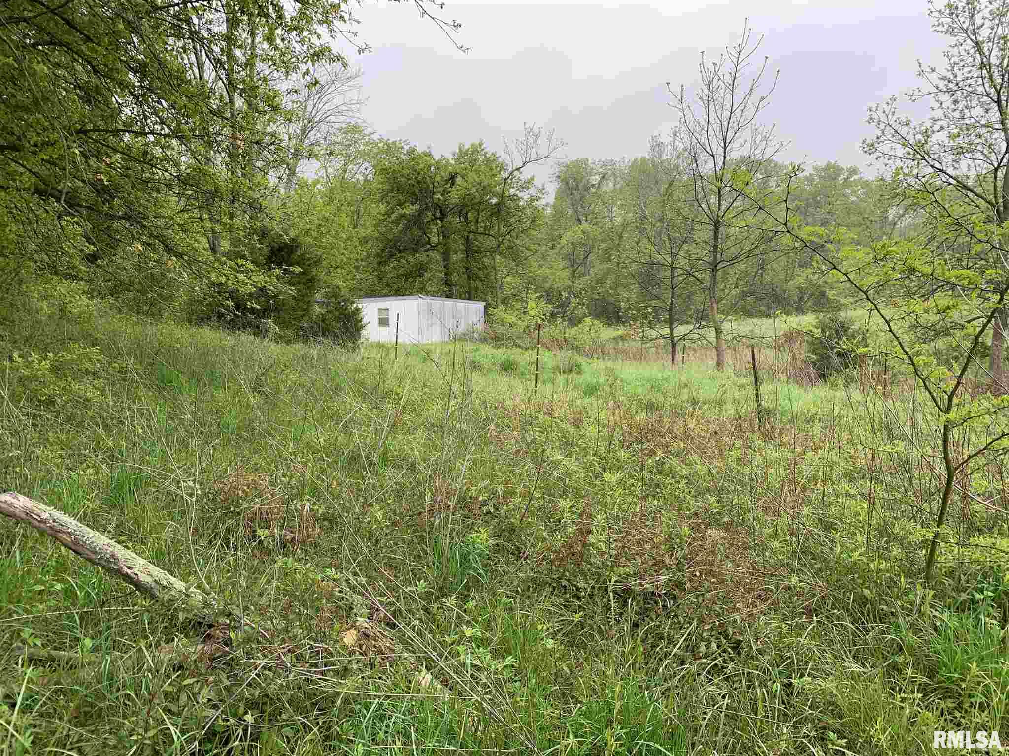 3555 Iuka Road Iuka, IL 62849 - Photo 49 of 50