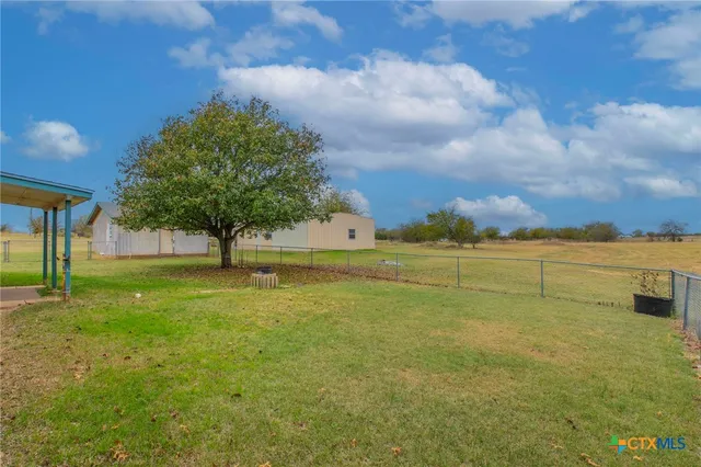 a view of a field with a tree in the background