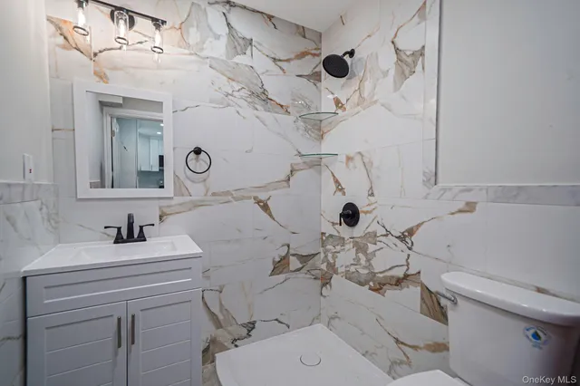 a bathroom with a toilet a sink a mirror a bathtub and vanity