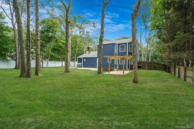 a view of a park with large trees