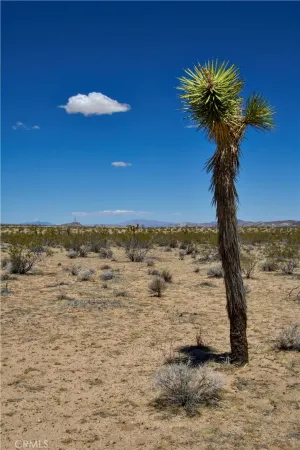 $49,500 | 888 Lucky, Landers, CA 92285