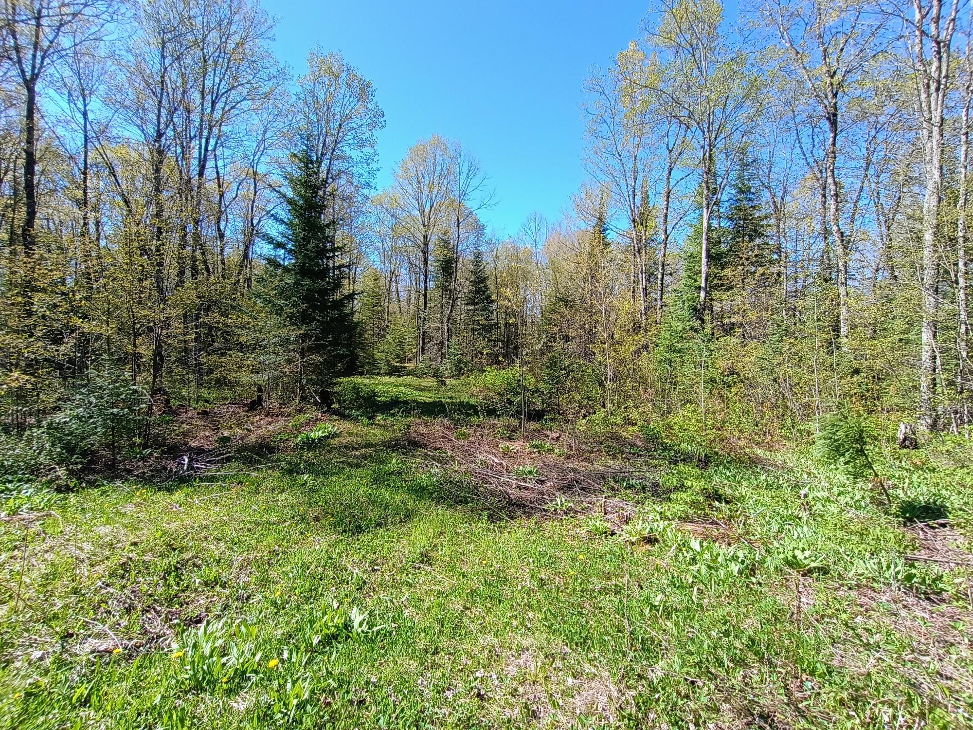 40-ac On Nig Rein Road, Unit 40 AC Glidden, WI 54527 - Photo 15 of 26 Gallery Image 15