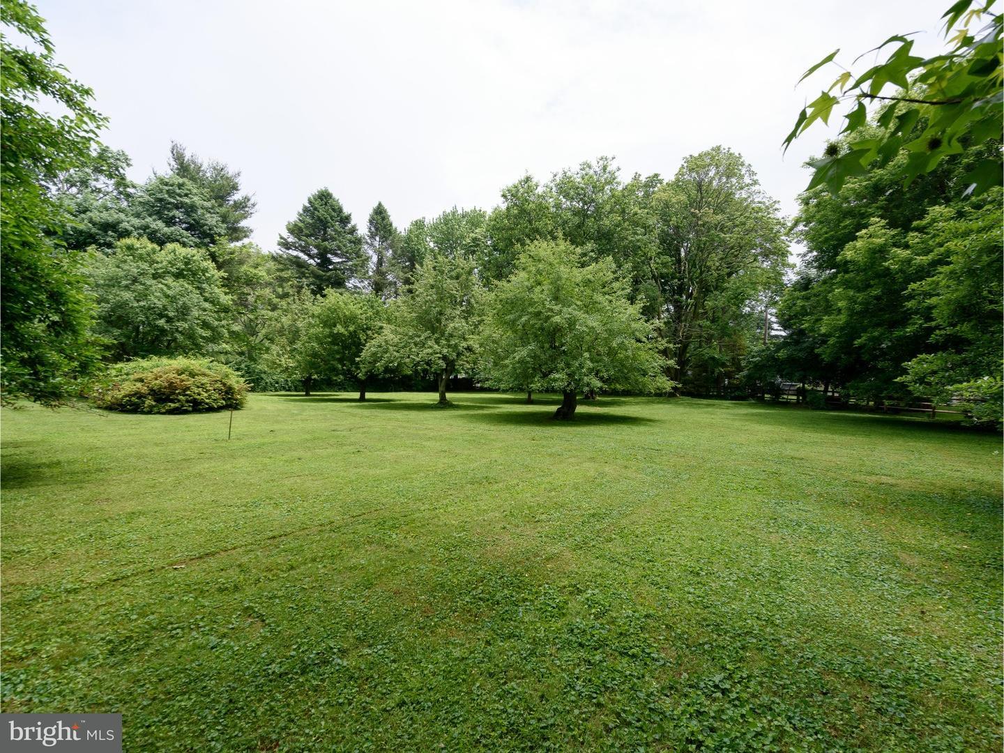 162 Upper Gulph Road Wayne, PA 19087 - Photo 23 of 25 Back Yard
