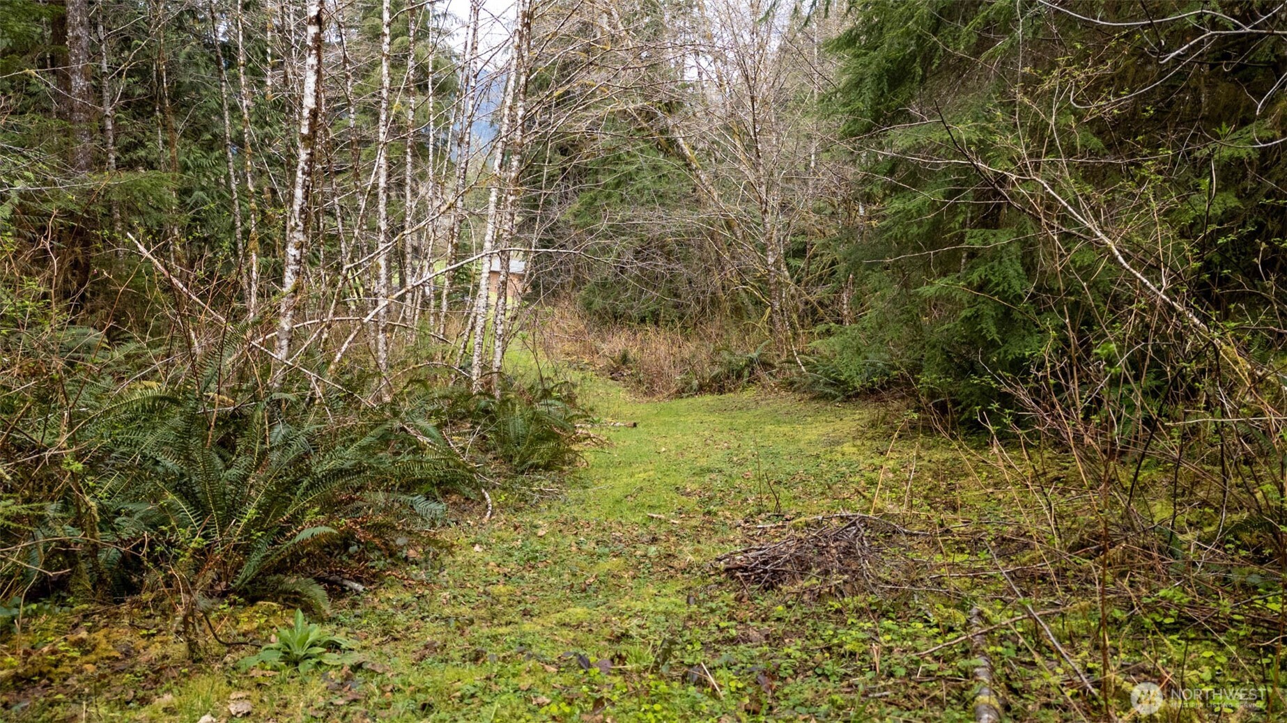 27 Olson Road Quinault, WA 98575 - Photo 32 of 40