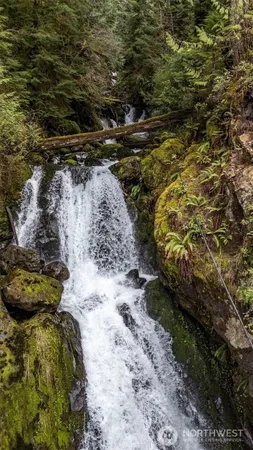 a view of water pond with lots of trees