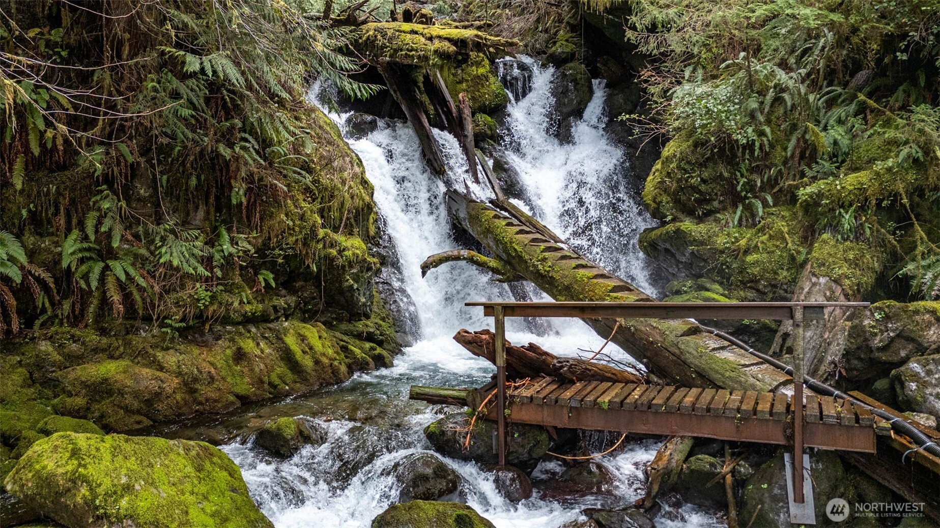 27 Olson Road Quinault, WA 98575 - Photo 34 of 40