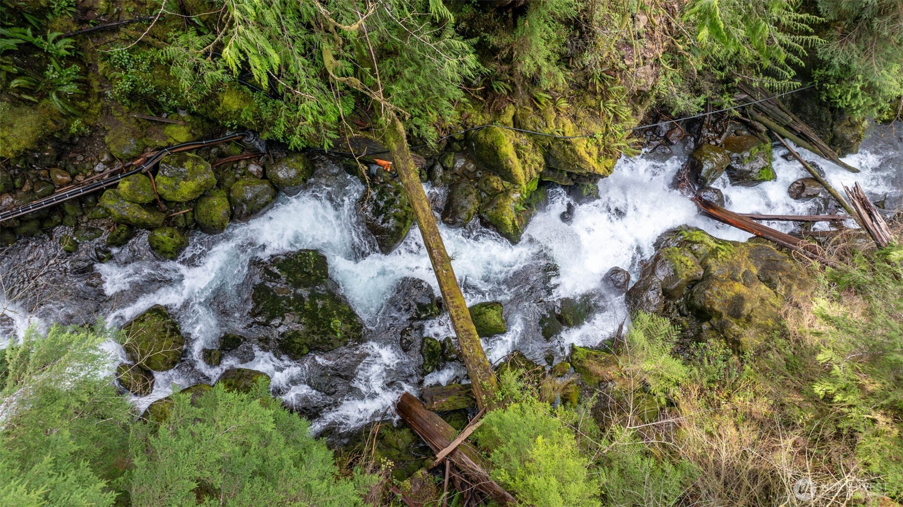 27 Olson Road Quinault, WA 98575 - Photo 35 of 40