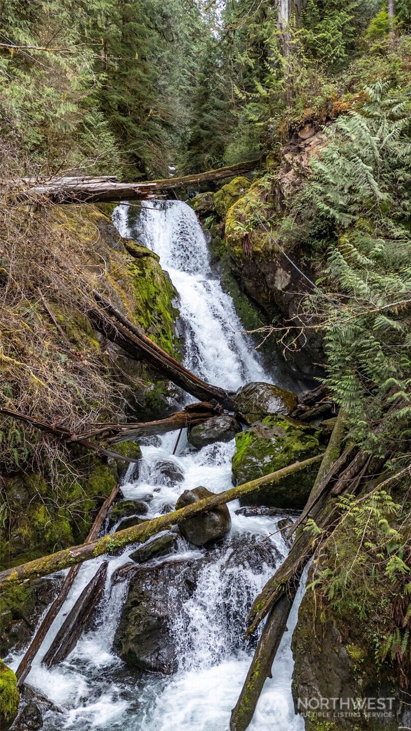 27 Olson Road Quinault, WA 98575 - Photo 36 of 40