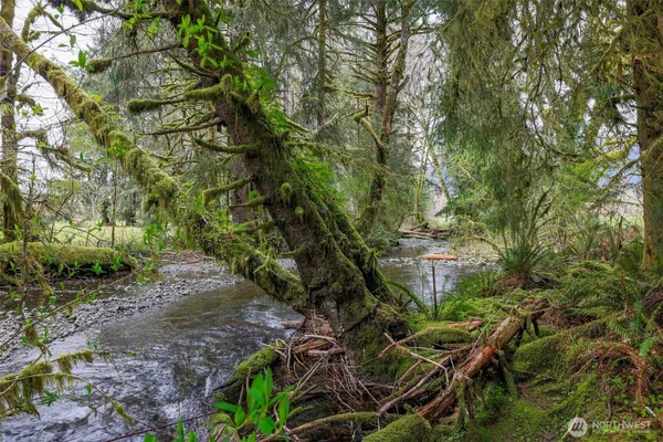 a childrens park with lots of swings and slides