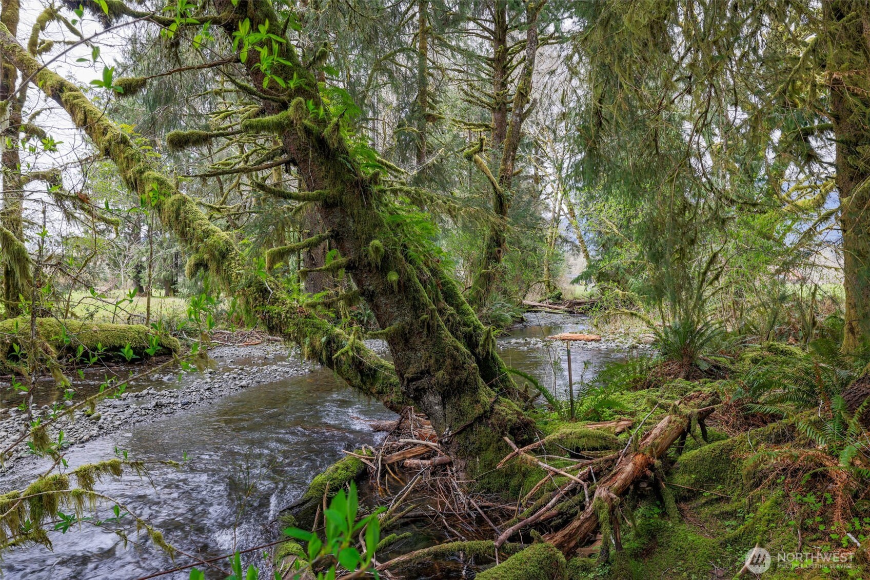 27 Olson Road Quinault, WA 98575 - Photo 37 of 40