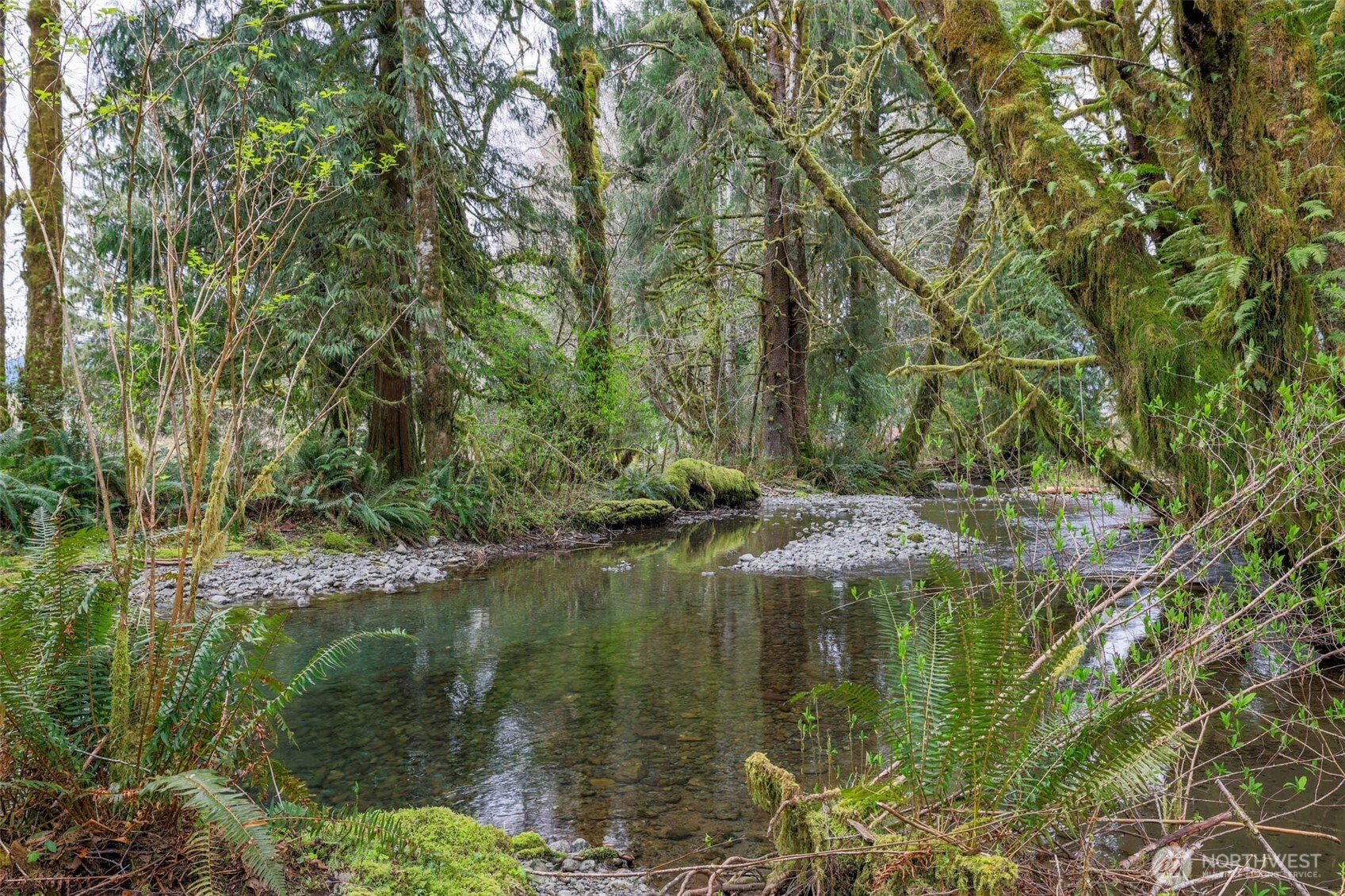 27 Olson Road Quinault, WA 98575 - Photo 38 of 40
