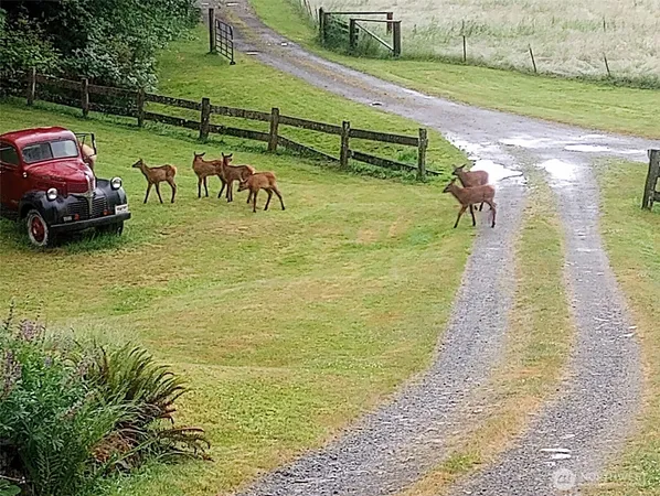 $750,000 | 27 Olson Road, Quinault, WA 98575