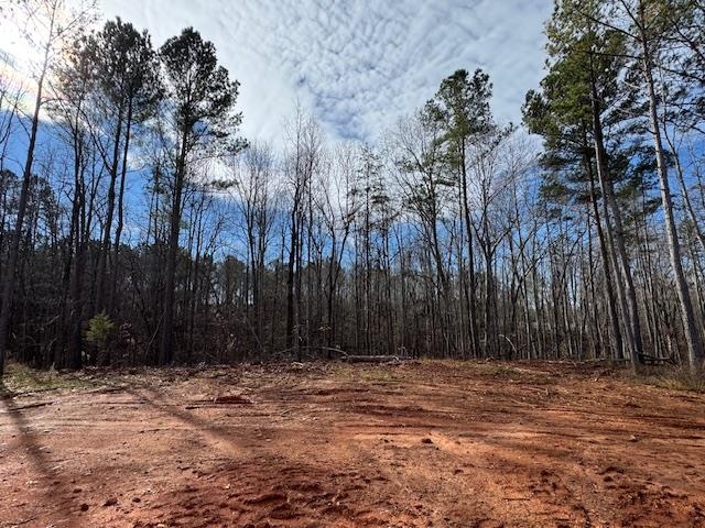 187 Susans Road Gaffney, SC 29341 - Photo 26 of 27