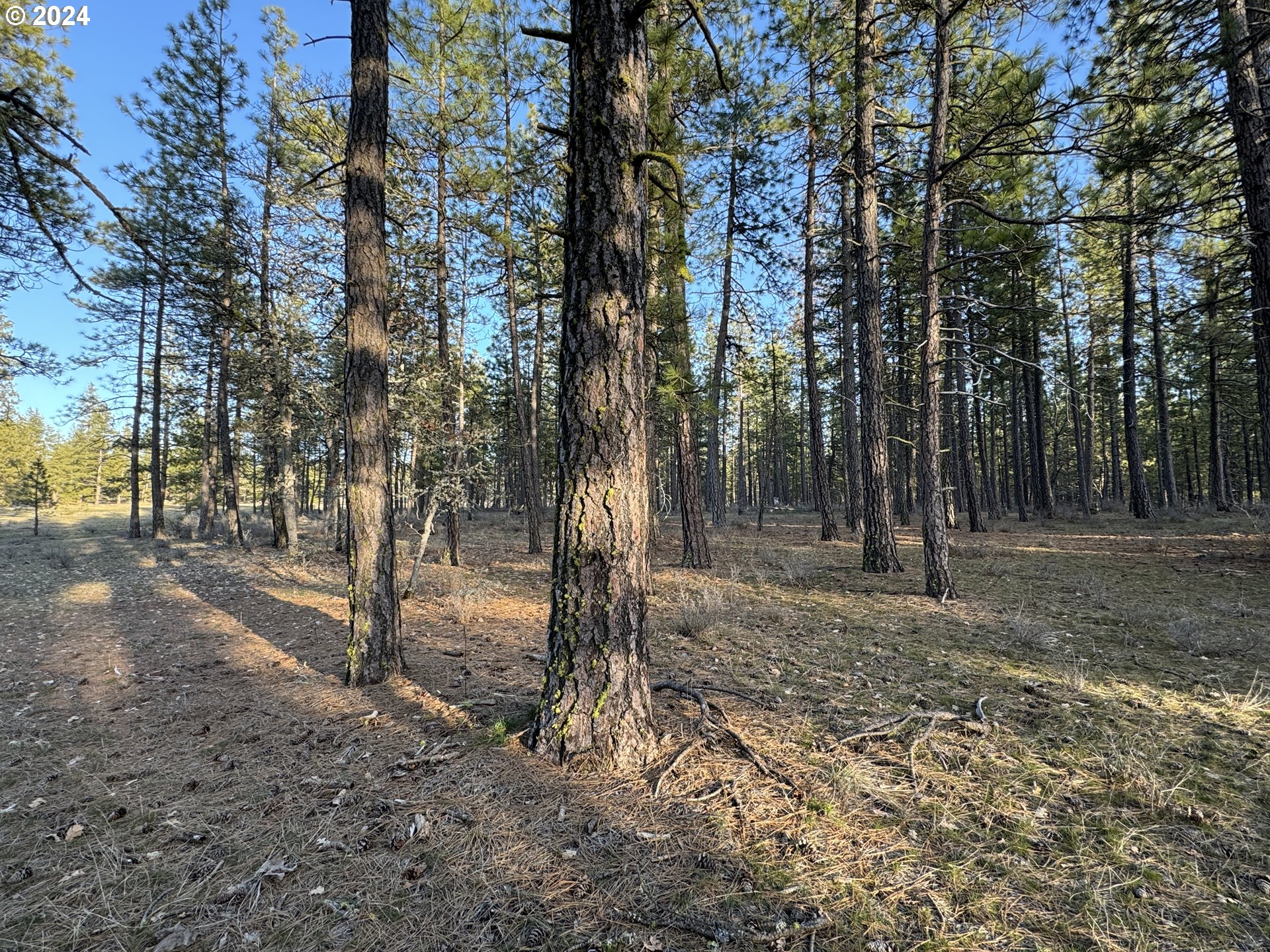 Hawks Wind Goldendale Wa  