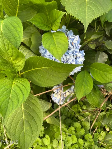 $53,500 | 2703 Orr Street, Big Stone Gap, VA 24219