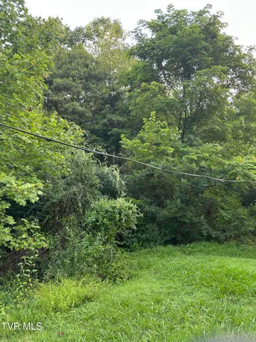 $53,500 | 2703 Orr Street, Big Stone Gap, VA 24219