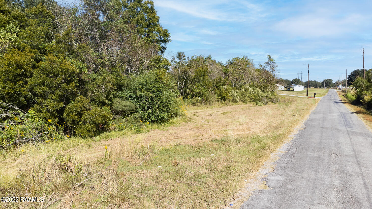 Tbd Madison Road Maurice, LA 70555 - Photo 4 of 4 Gallery Image 4