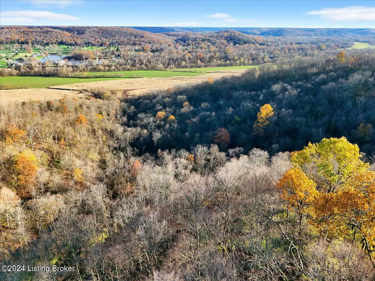 0 River Road Worthville, KY 41098 - Photo 13 of 23 Aerial