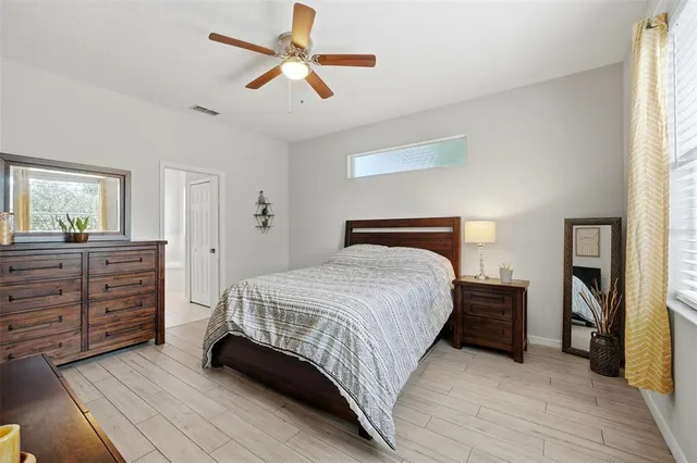 a view of backyard with barn and a large cactus tree