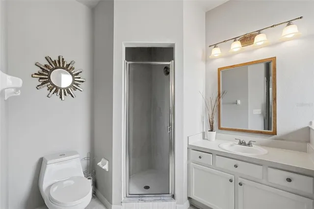 a view of a backyard with plants and large trees