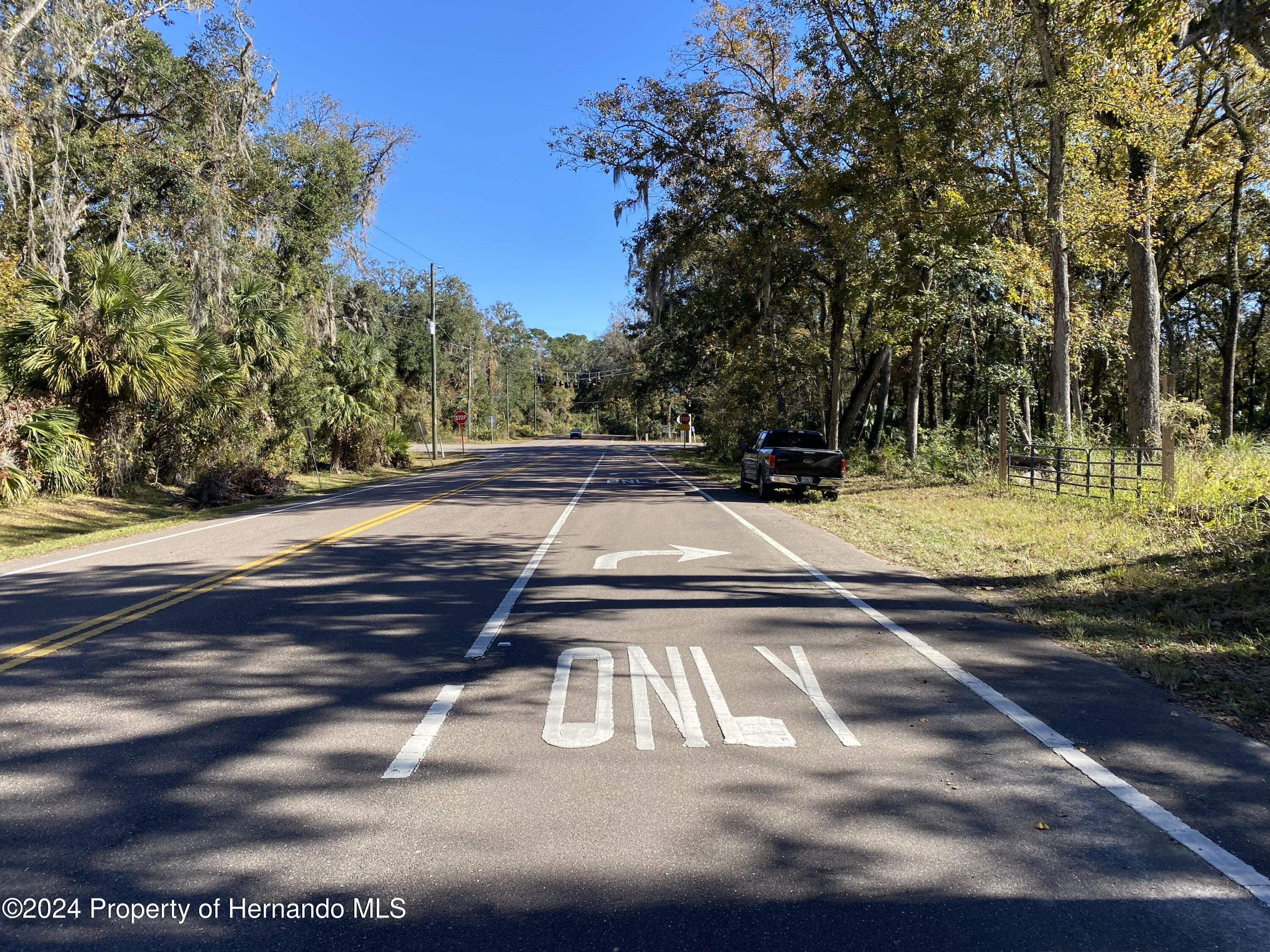 0 Lake Lindsey Road Brooksville, FL 34601 - Photo 4 of 5
