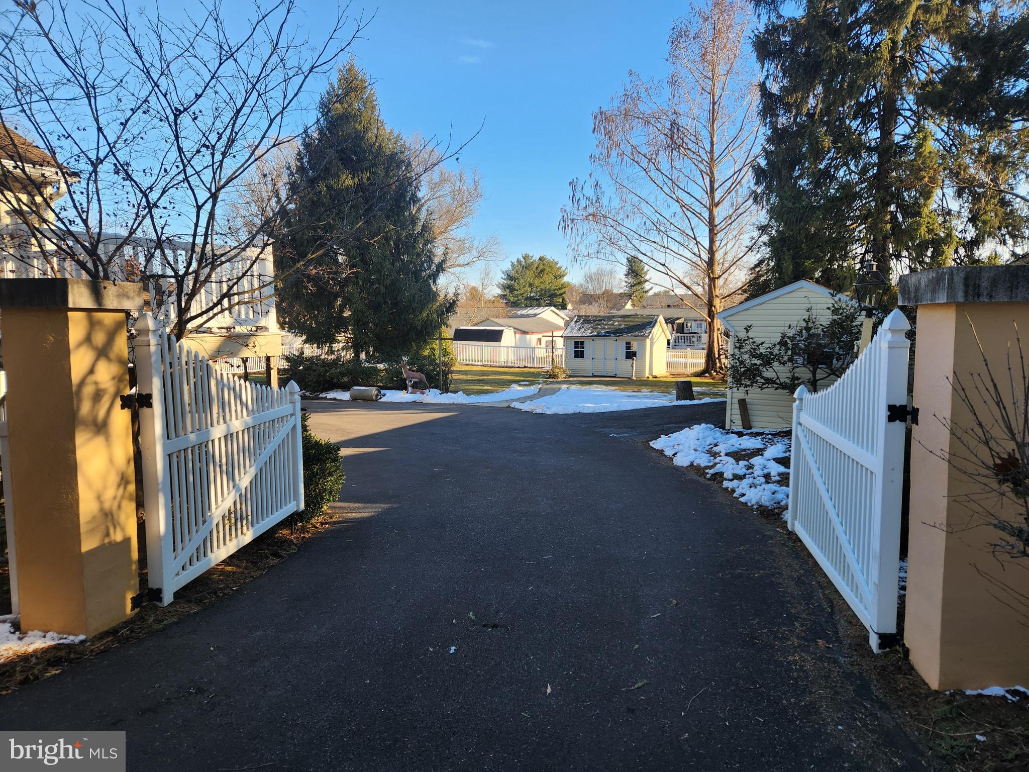 444 Donegal Springs Road Mount Joy, PA 17552 - Photo 19 of 29 a view of road with large trees