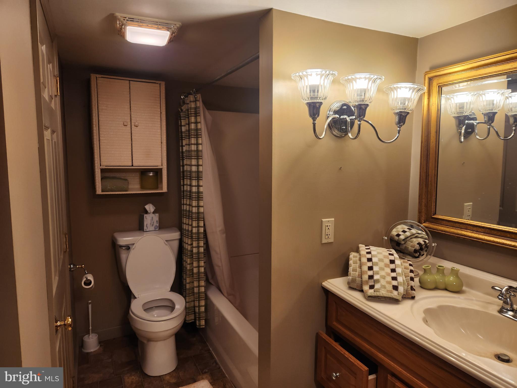 444 Donegal Springs Road Mount Joy, PA 17552 - Photo 4 of 29 a bathroom with a sink toilet and shower