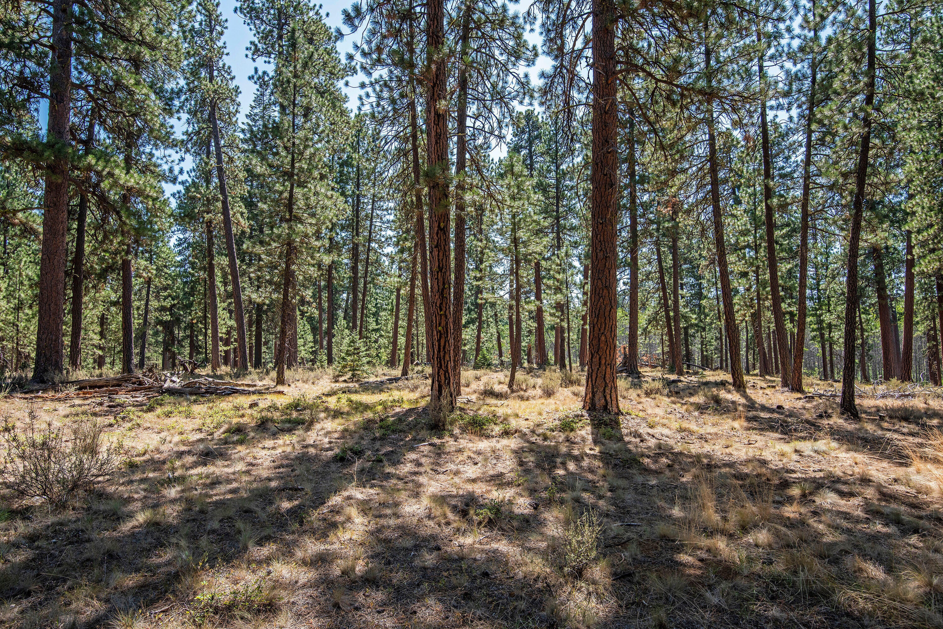 70911 Amaranth, Unit EM51 Black Butte Ranch, OR 97759 - Photo 24 of 29 24