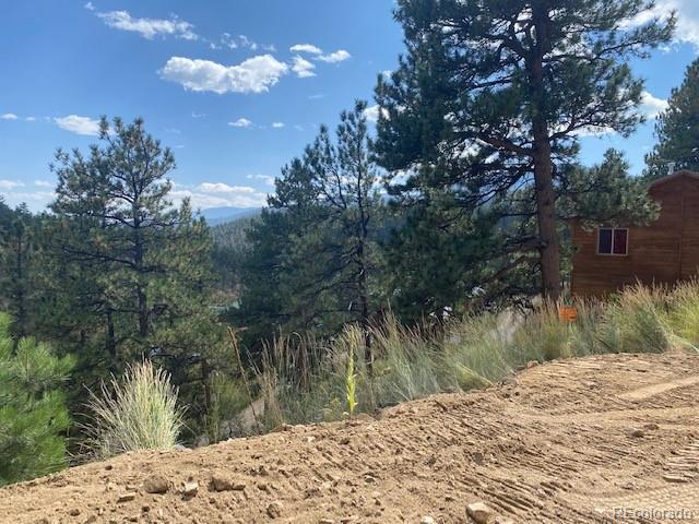 216 Virginia Road Bailey, CO 80421 - Photo 1 of 11 Gallery Image 1