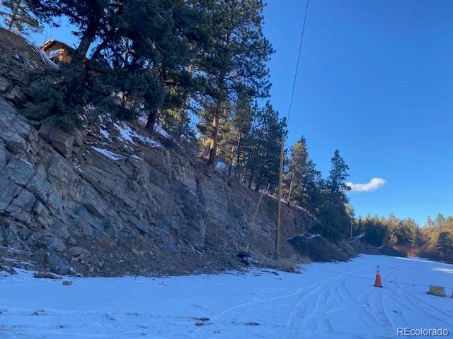 216 Virginia Road Bailey, CO 80421 - Photo 11 of 11 Gallery Image 11
