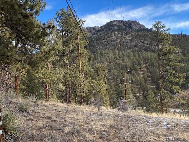 216 Virginia Road Bailey, CO 80421 - Photo 3 of 11 Gallery Image 3