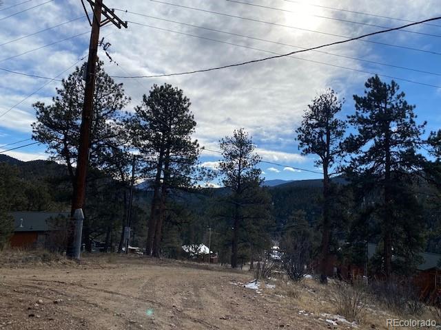 216 Virginia Road Bailey, CO 80421 - Photo 5 of 11 Gallery Image 5