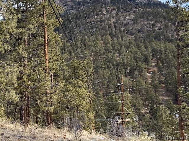 216 Virginia Road Bailey, CO 80421 - Photo 6 of 11 Gallery Image 6