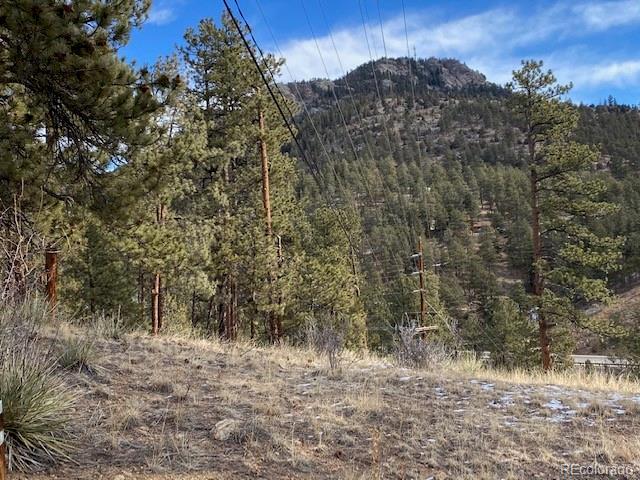 216 Virginia Road Bailey, CO 80421 - Photo 7 of 11 Gallery Image 7