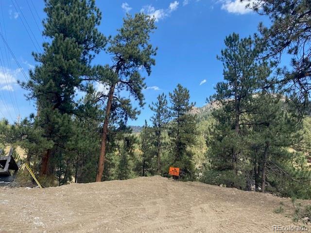 216 Virginia Road Bailey, CO 80421 - Photo 8 of 11 Gallery Image 8