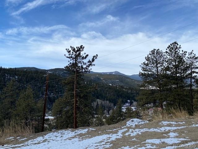 216 Virginia Road Bailey, CO 80421 - Photo 10 of 11 Gallery Image 10