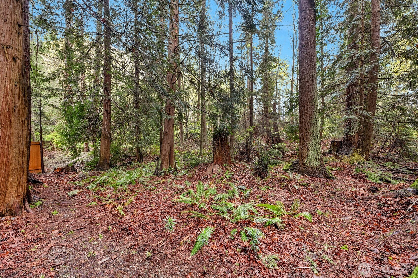 8909 55th Place West Mukilteo, WA 98275 - Photo 28 of 38