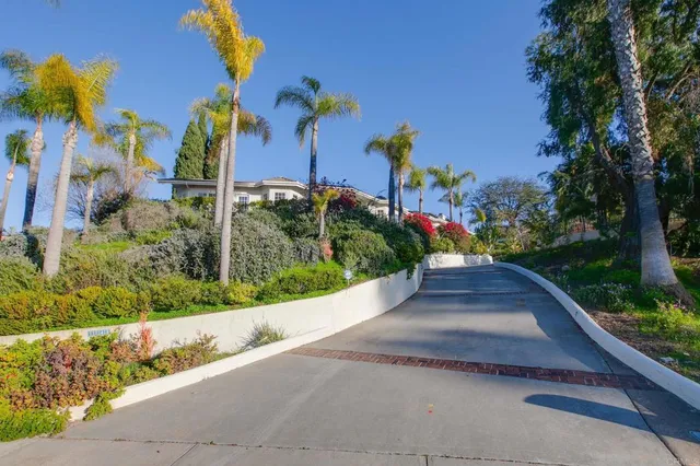 a view of a garden with a pathway