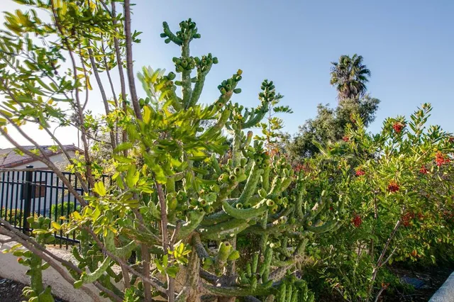 $1,299,000 | 1248 Via Christina, Vista, CA 92084