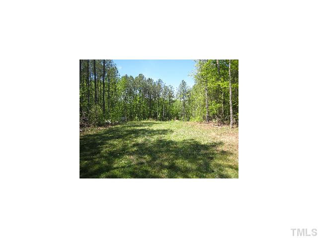 Jerusalem Road Boydton, VA 23917 - Photo 1 of 6 Photo 1
