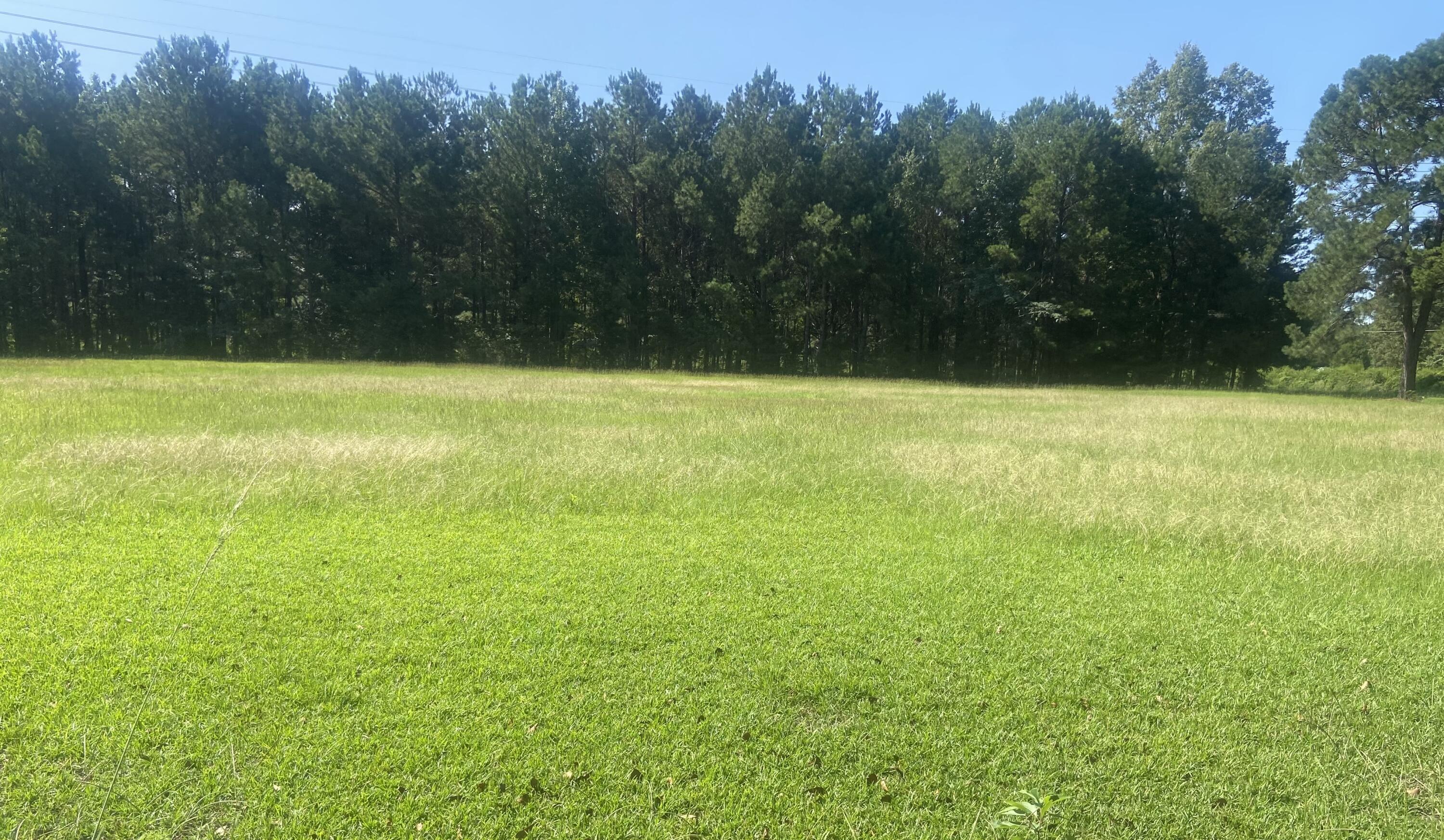 0 Spring Plains Road Cross, SC 29436 - Photo 2 of 3 IMG_8952