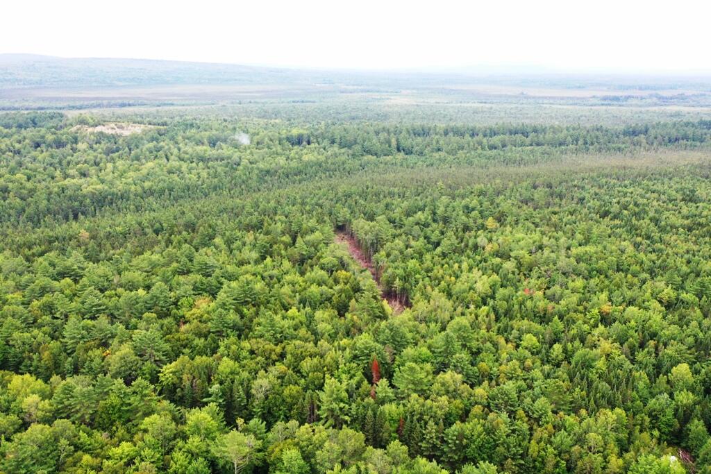 Tbd Caribou Road Passadumkeag, ME 04475 - Photo 1 of 14 DJI_0762