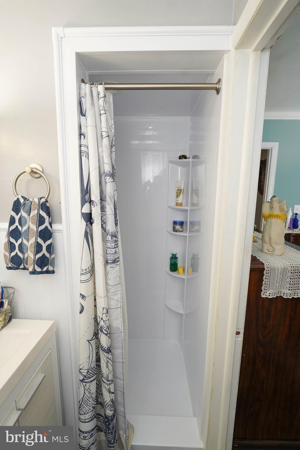 5627 Galestown Reliance Road Rhodesdale, MD 21659 - Photo 27 of 48 a bathroom with a shower and a sink