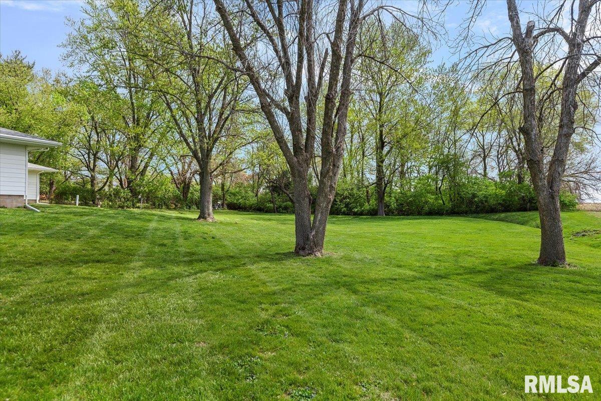 600 South Gatton Street Virginia, IL 62691 - Photo 35 of 45 Gallery Image 35