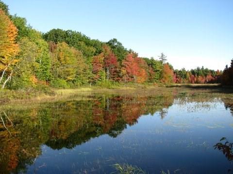 71 Schellinger Road Poland, ME 04274 - Photo 6 of 18 Photo