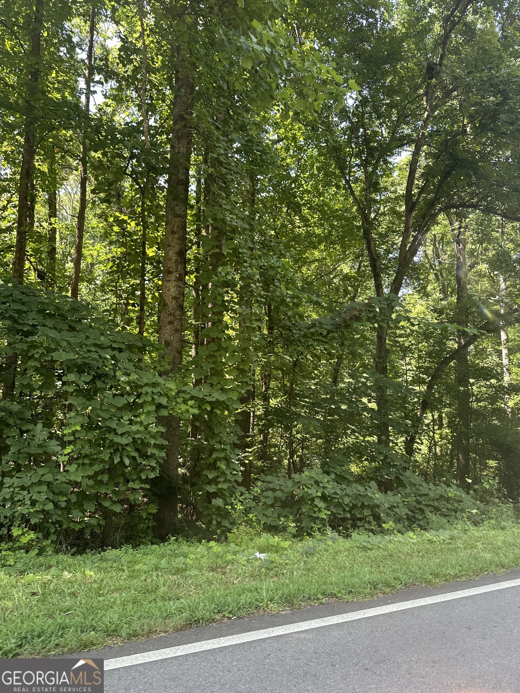 5430 Stephens Road Oakwood, GA 30566 - Photo 1 of 1 Gallery Image 1